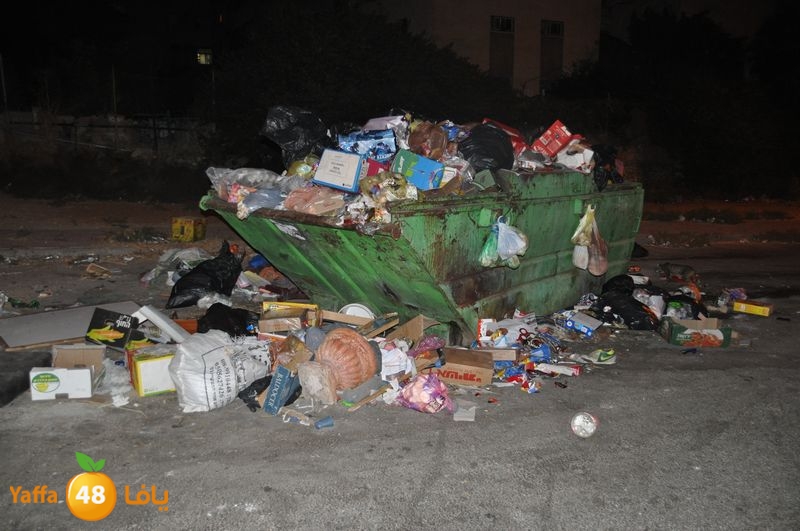 trash lud 907 (31).JPG